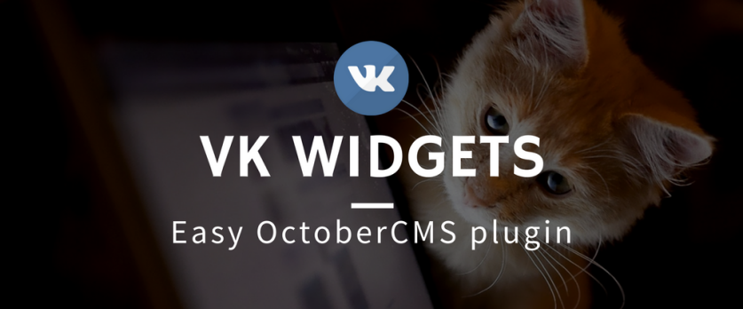 octobercms-vk-widgets-plugin