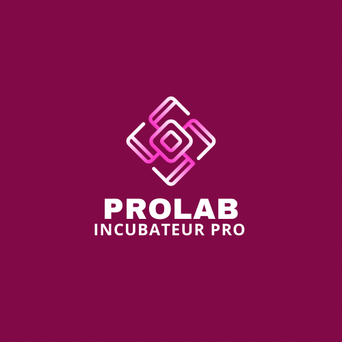 GitHub - EkueAYITE/ProLab