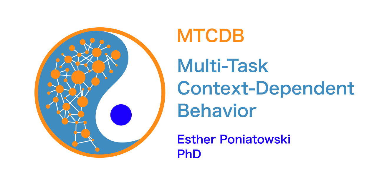 multitask-context-dependent-behavior