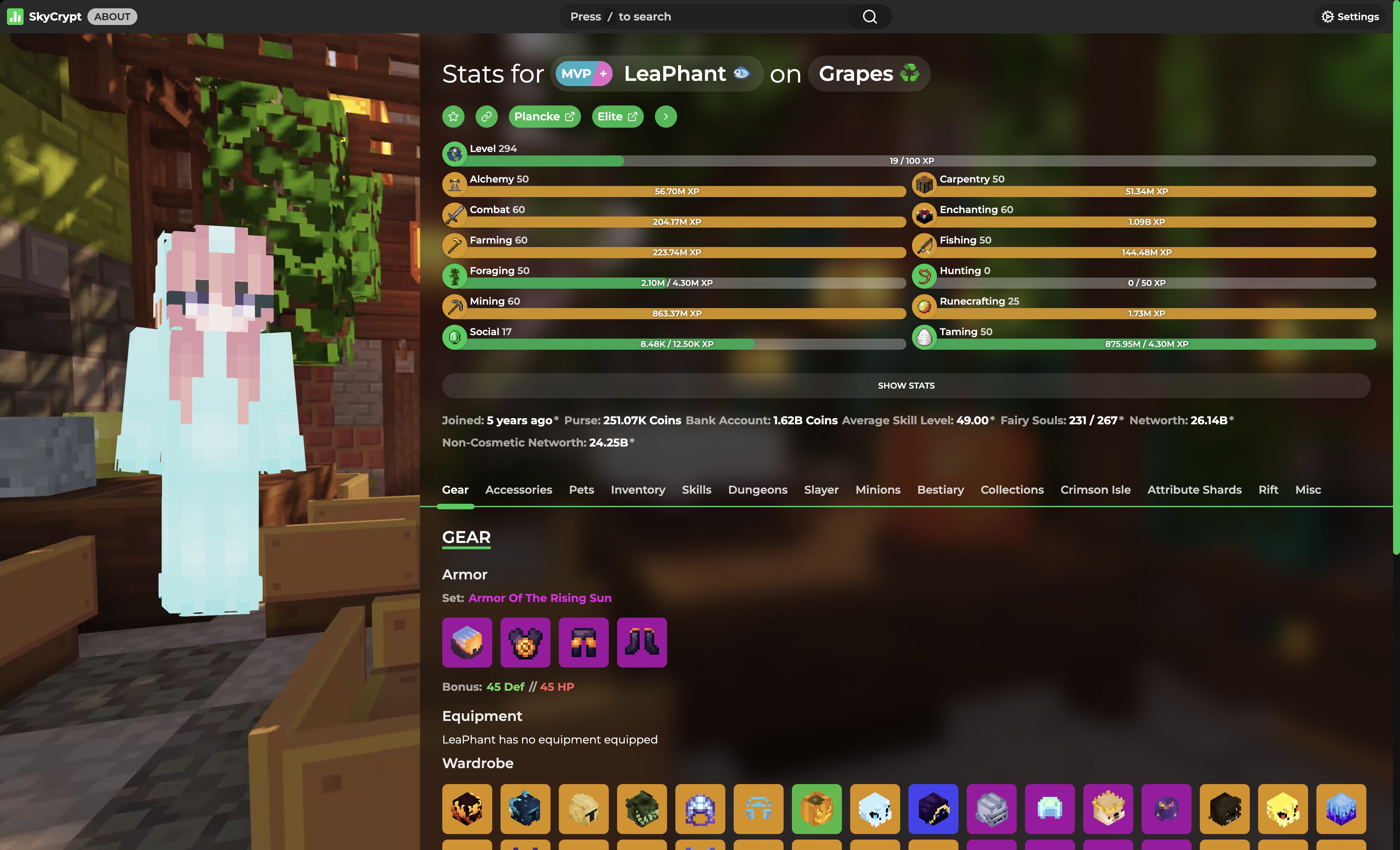 SkyCrypt-Frontend Svelte Themes