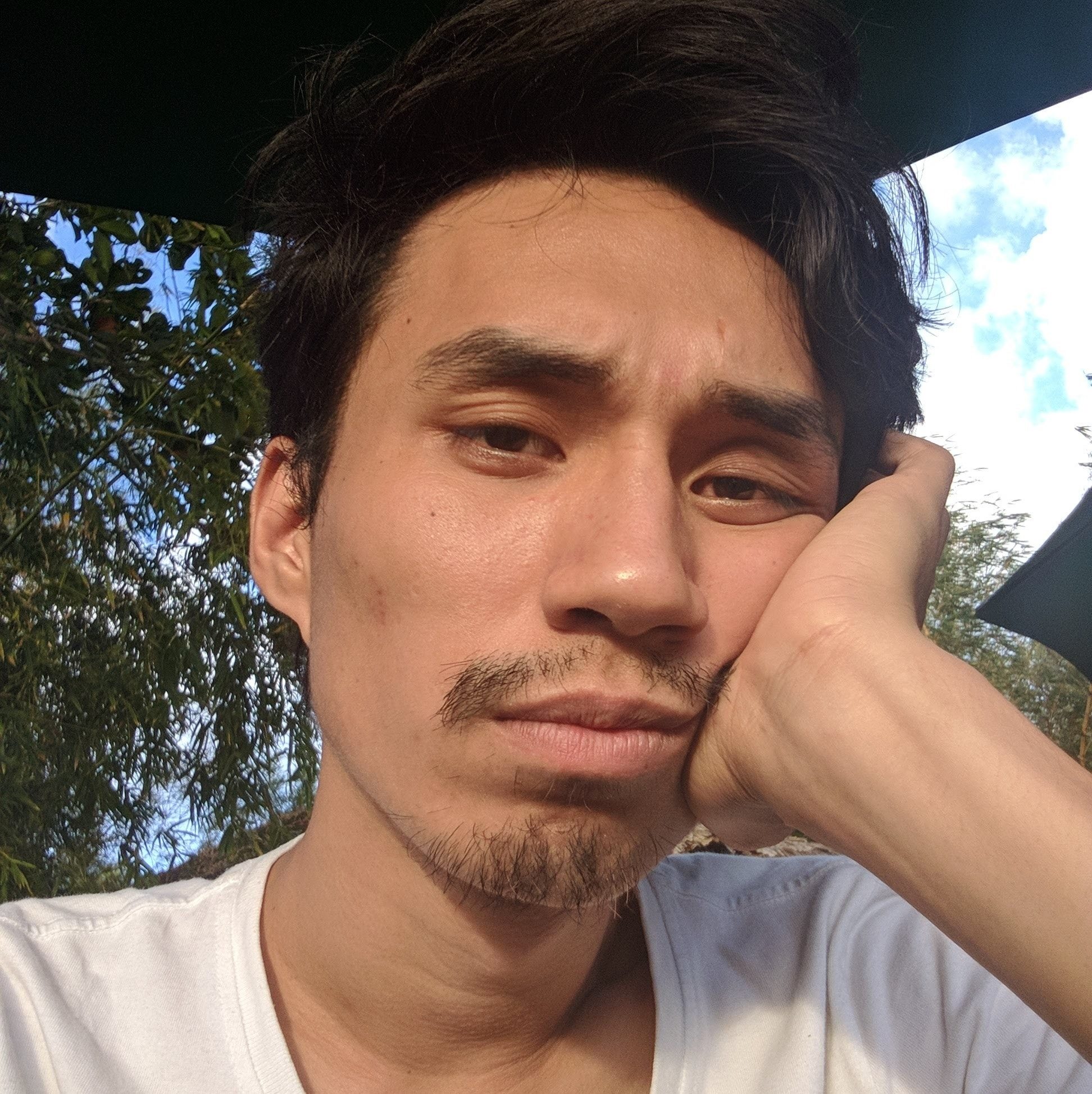 Github Dandansoysauce Dandansoysauce Github Io