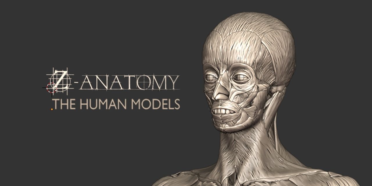 Models-of-human-anatomy