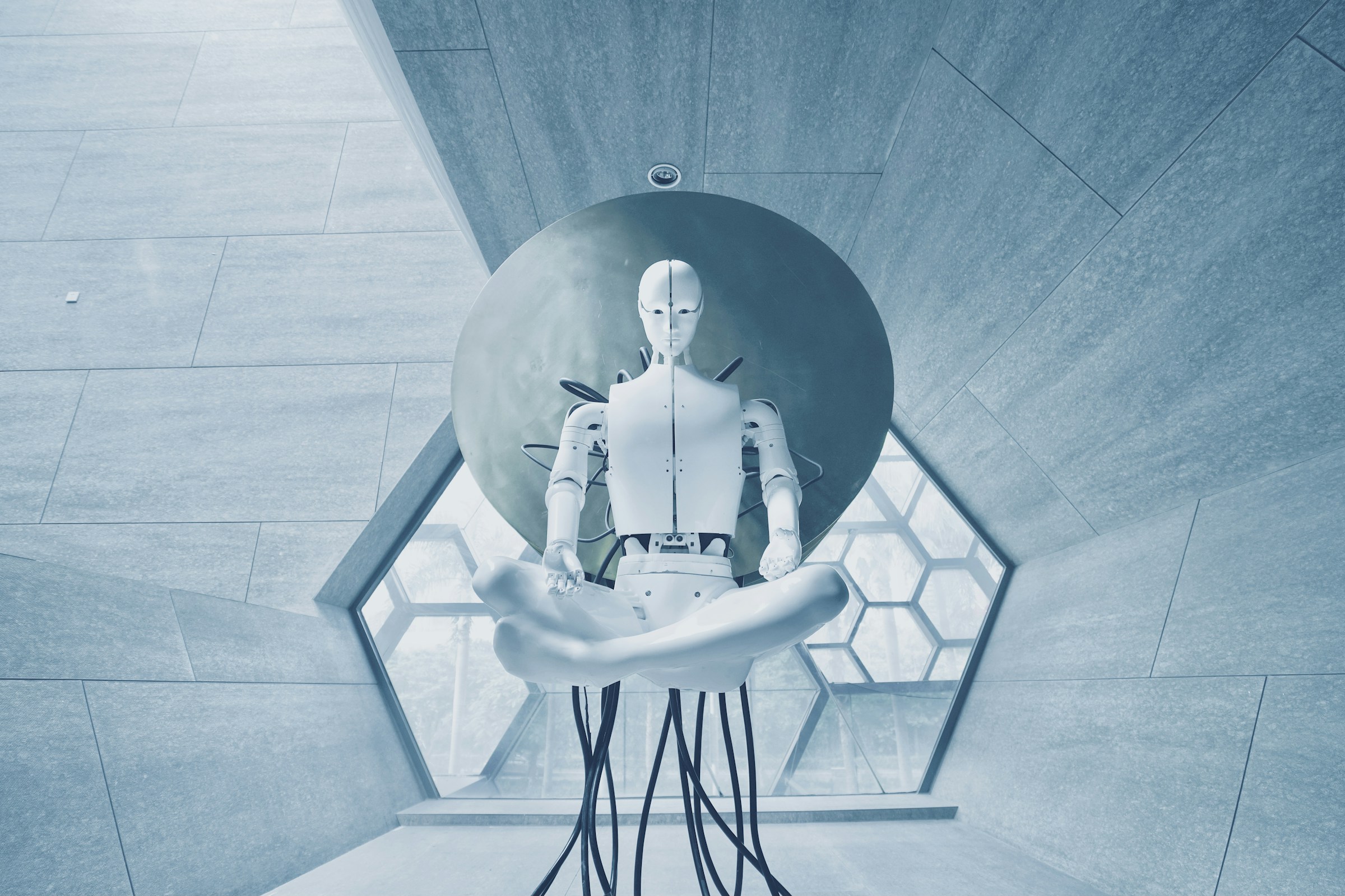 ai