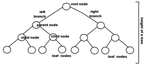 tree-notes