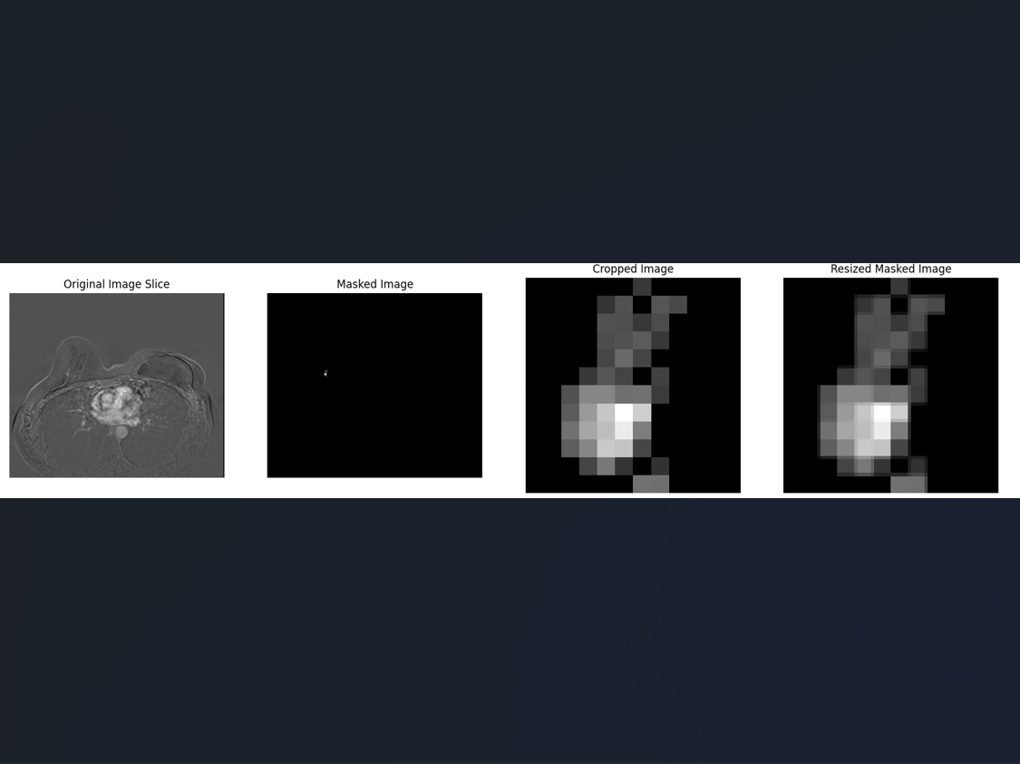 medical-3d-nrrd-classifcation