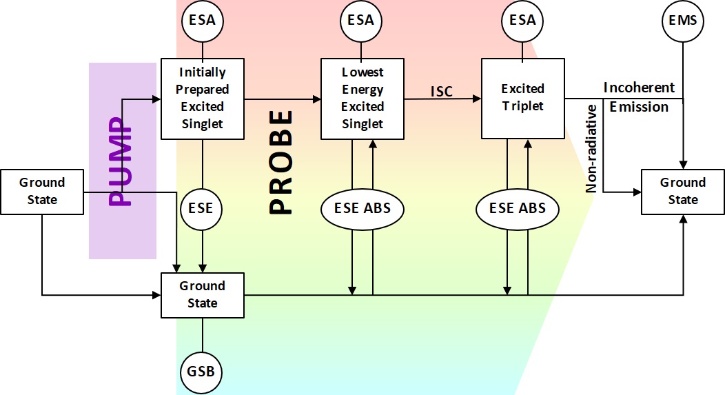 GitHub - lemonballad/solar_photophysics_dssc