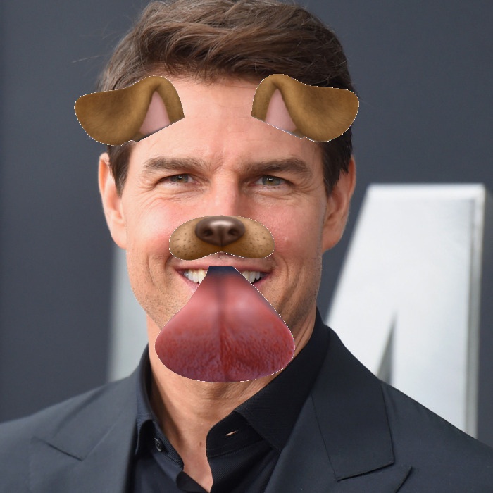 GitHub - KunalKurve/Real-Time-Face-Filters: Real-Time Face Filters ...