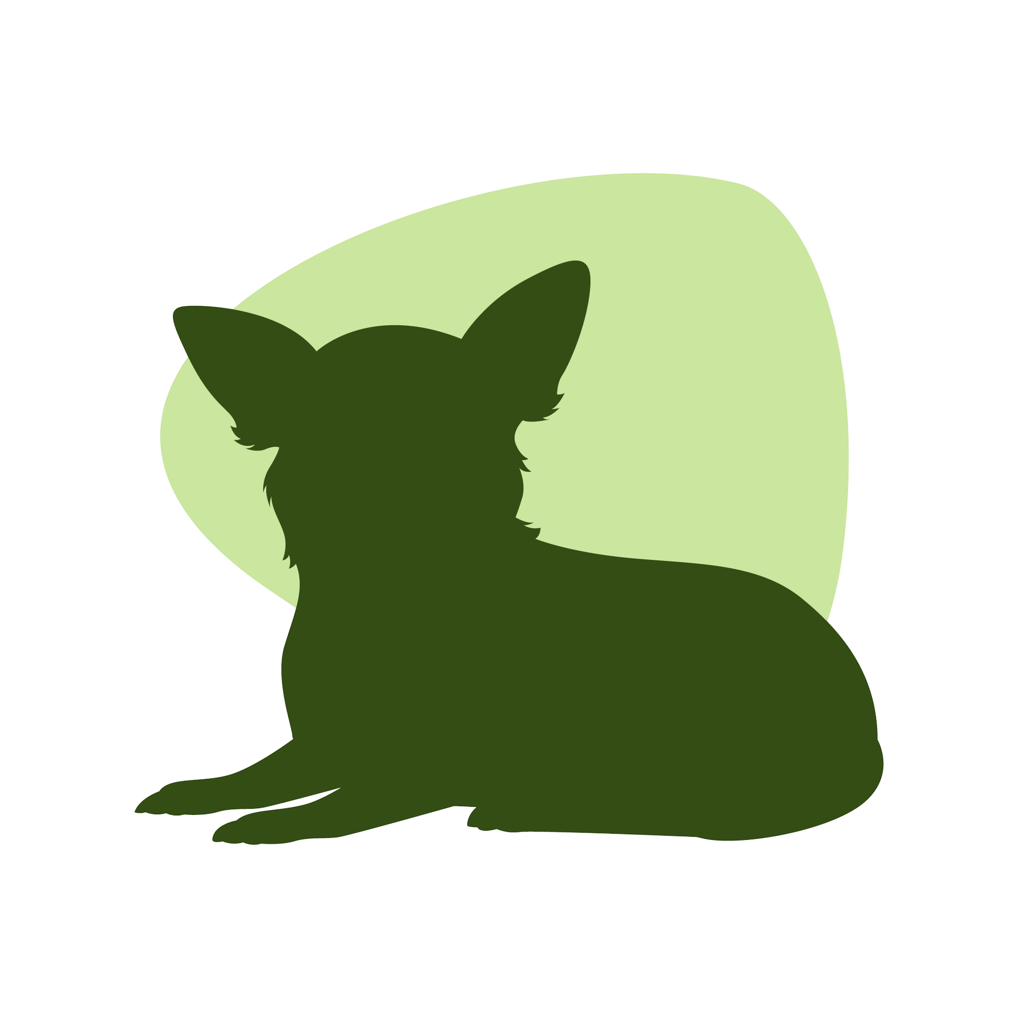 Animals-Shelter-Home-Power-Up-Challange