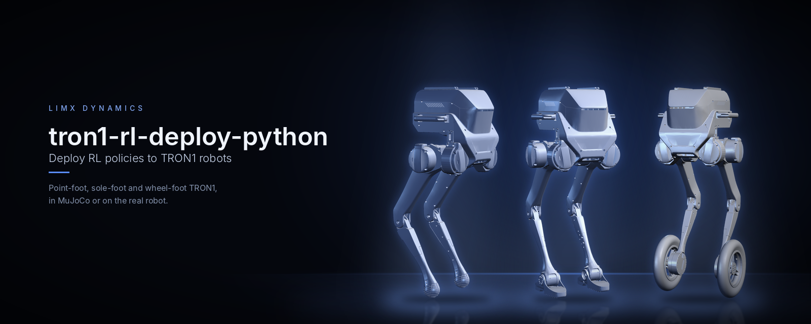 tron1-rl-deploy-python