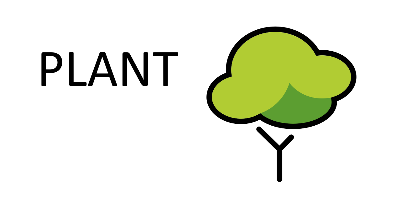 plant