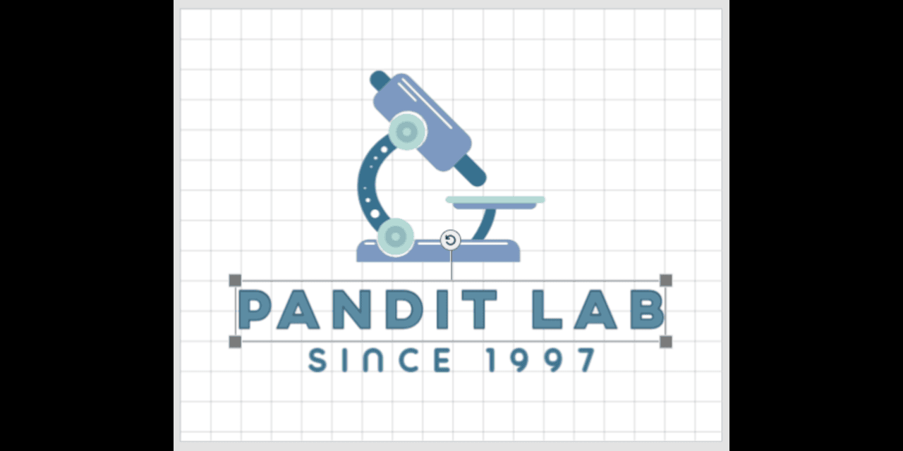 GitHub - Prabinrajcr7/Pandit-Lab-Siraha