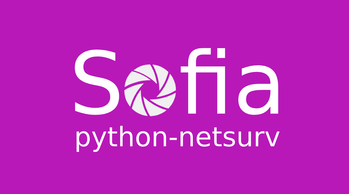 python-netsurv