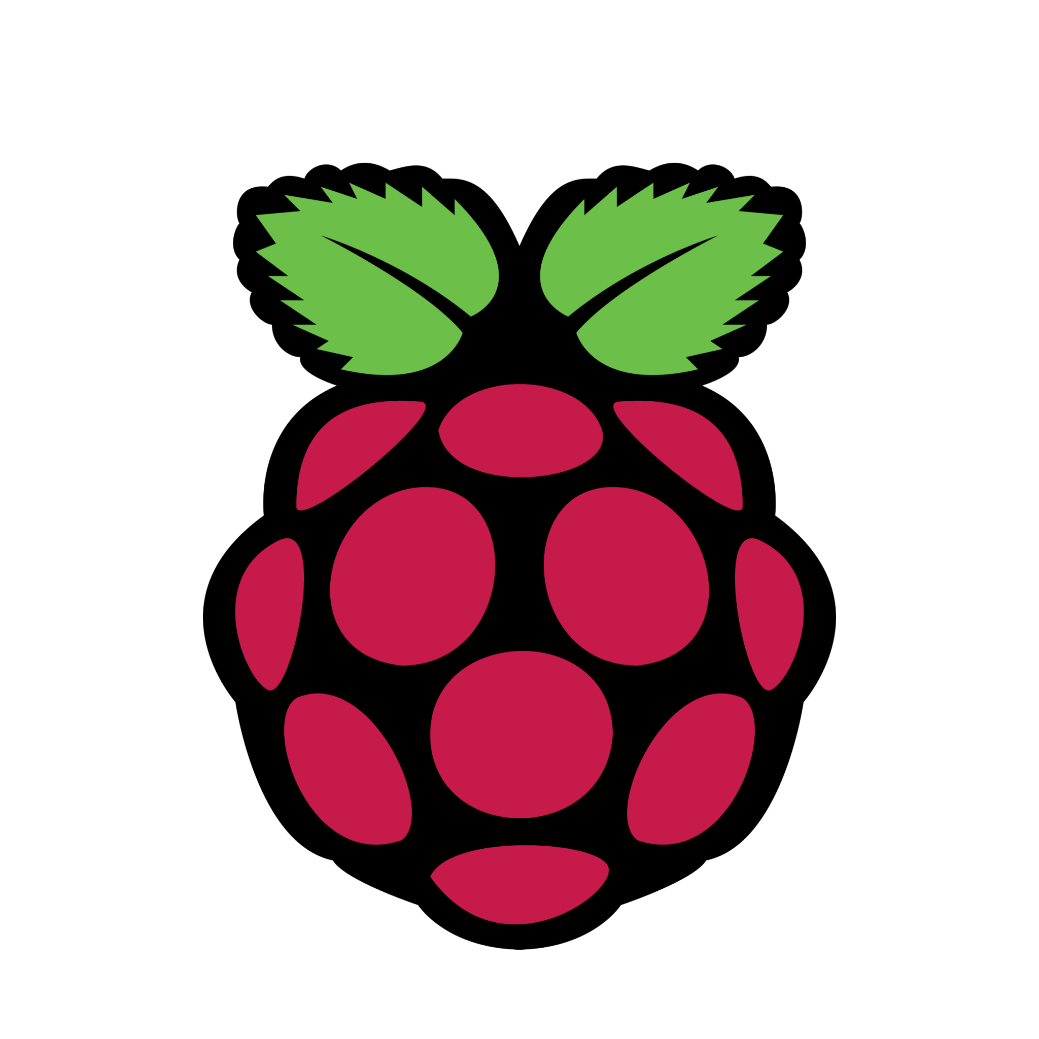 GitHub - local-resilience-tech/swarm-pi-setup