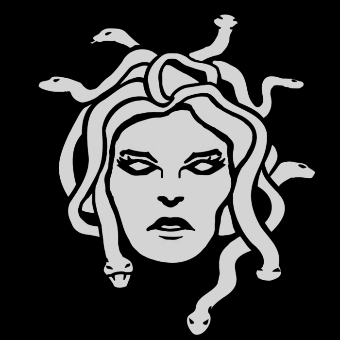 GitHub - ksel172/Meduza: Meduza is a modular, collaborative C2 framework