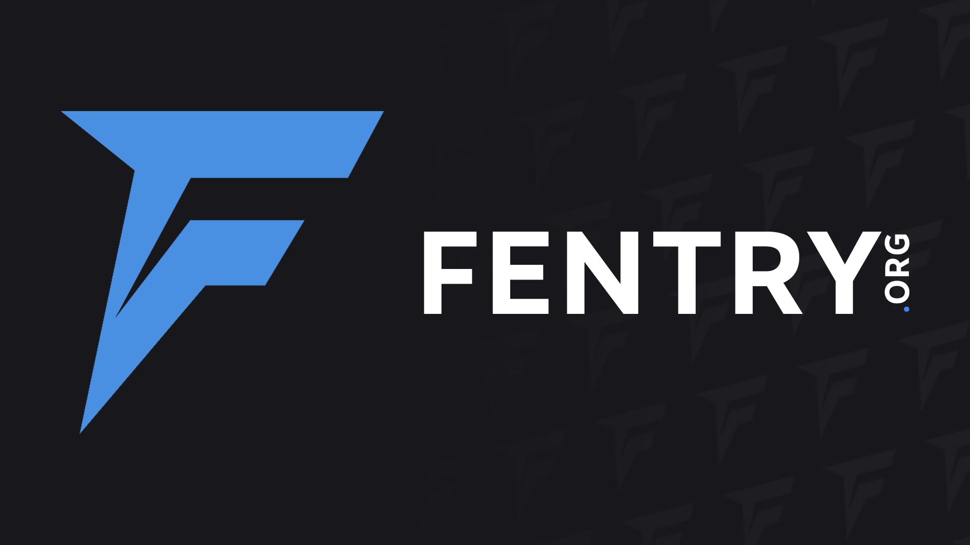 Bodycam-FENTRY