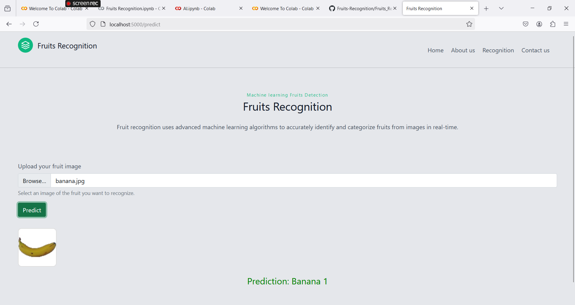 Fruits-Recognition