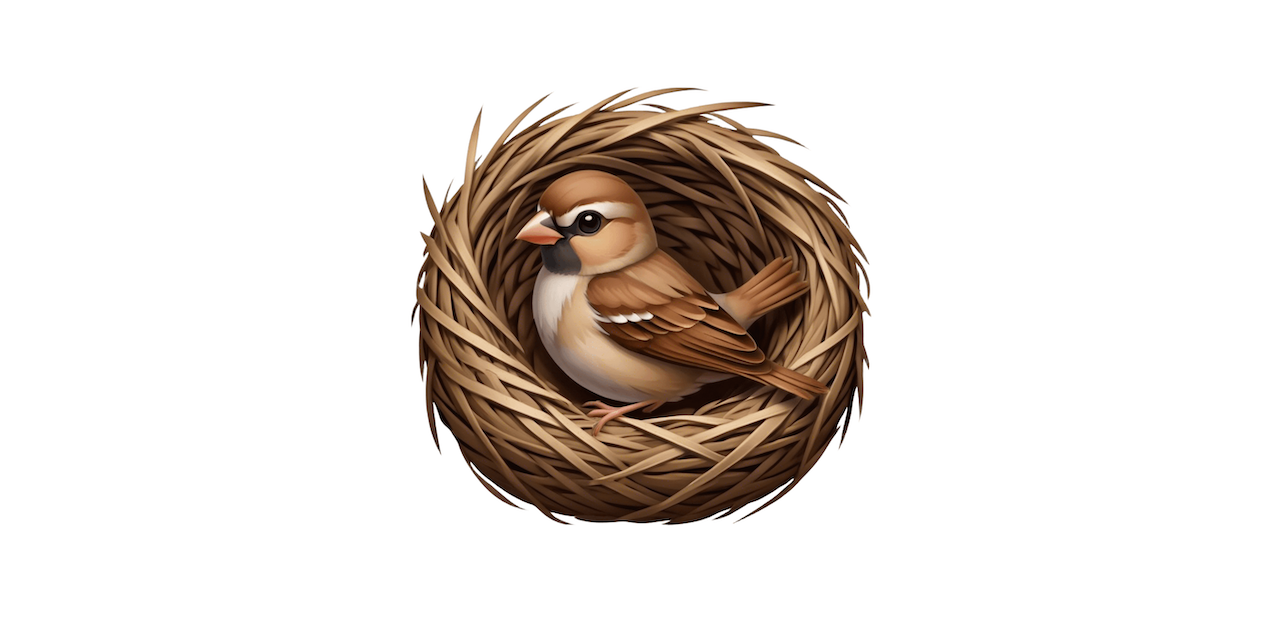 sparrow