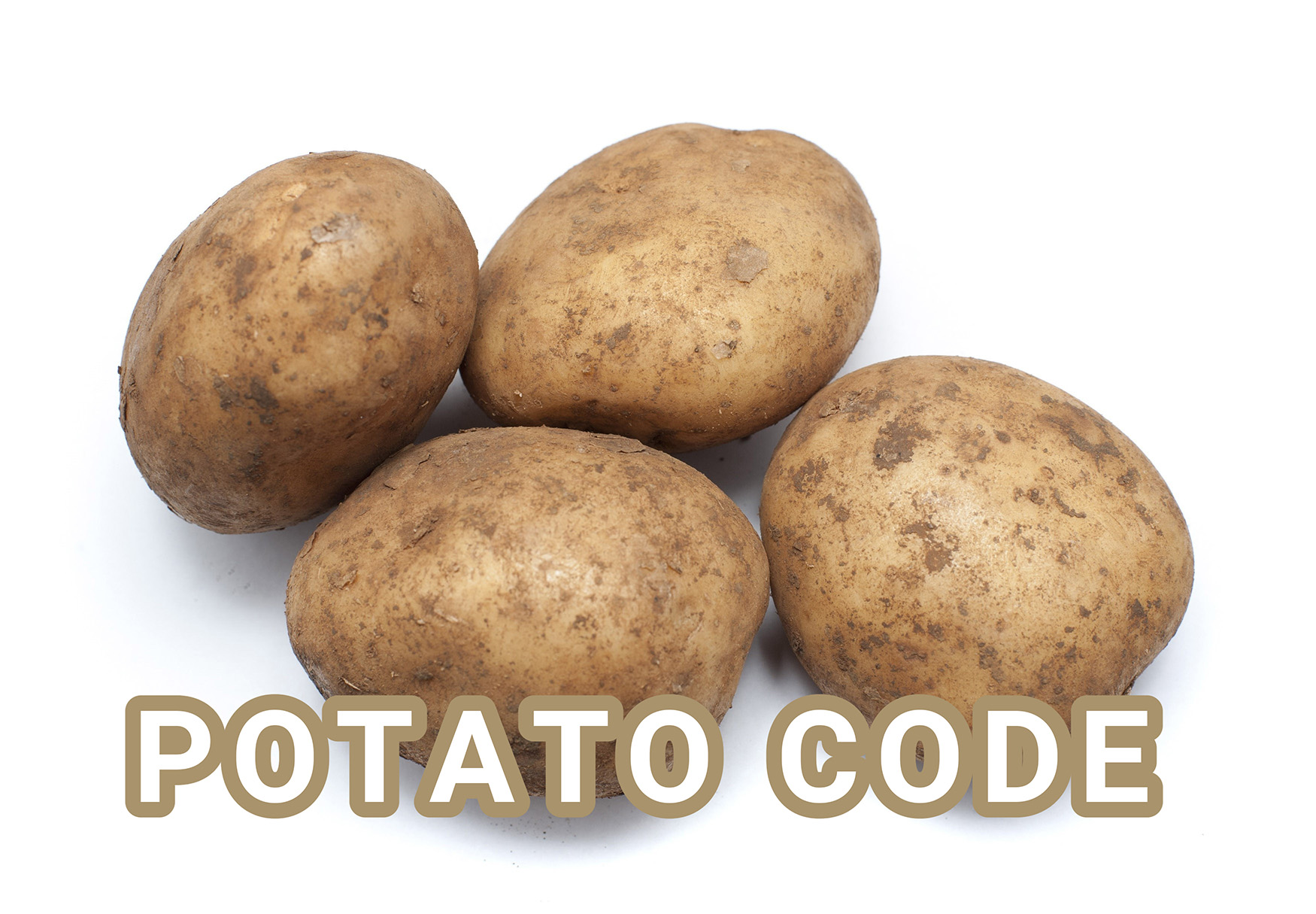 LSPotato