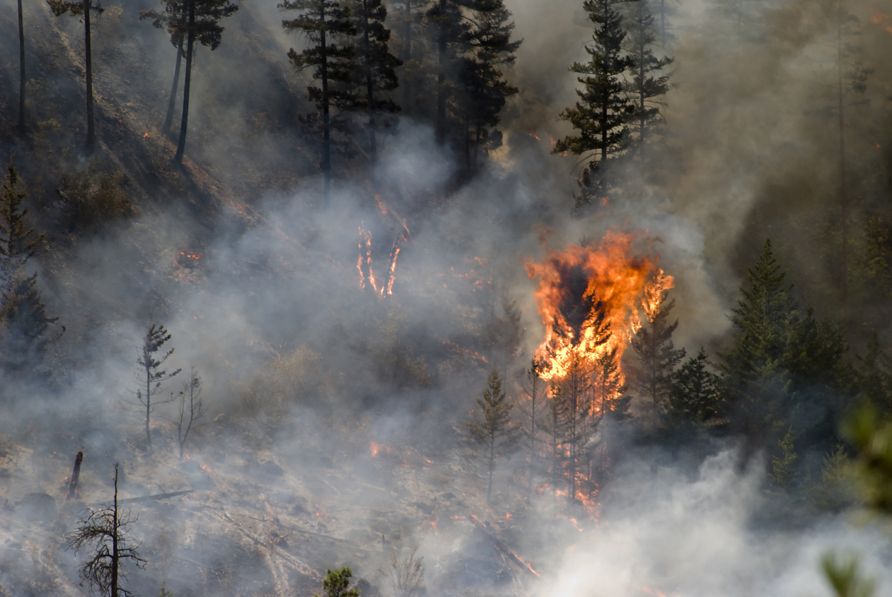 FireClimateSpatialAnalysis/README.md at main · mmeil3 ...