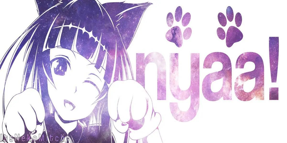 nyaaCli