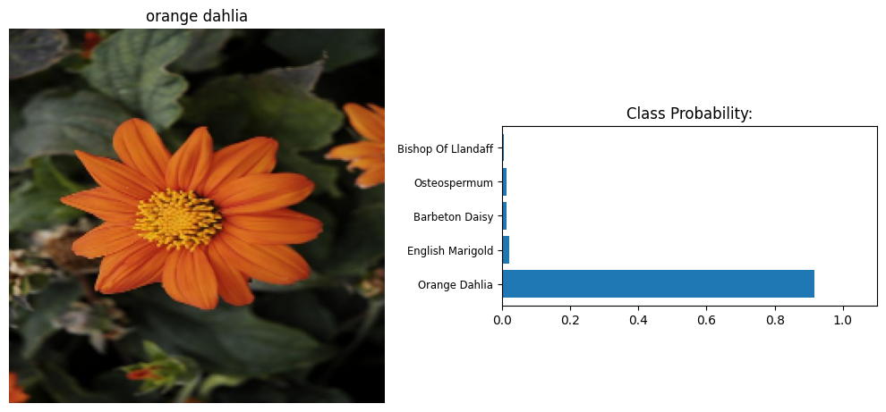 Flowers-Image-Classifier-with-Deep-Learning-TF