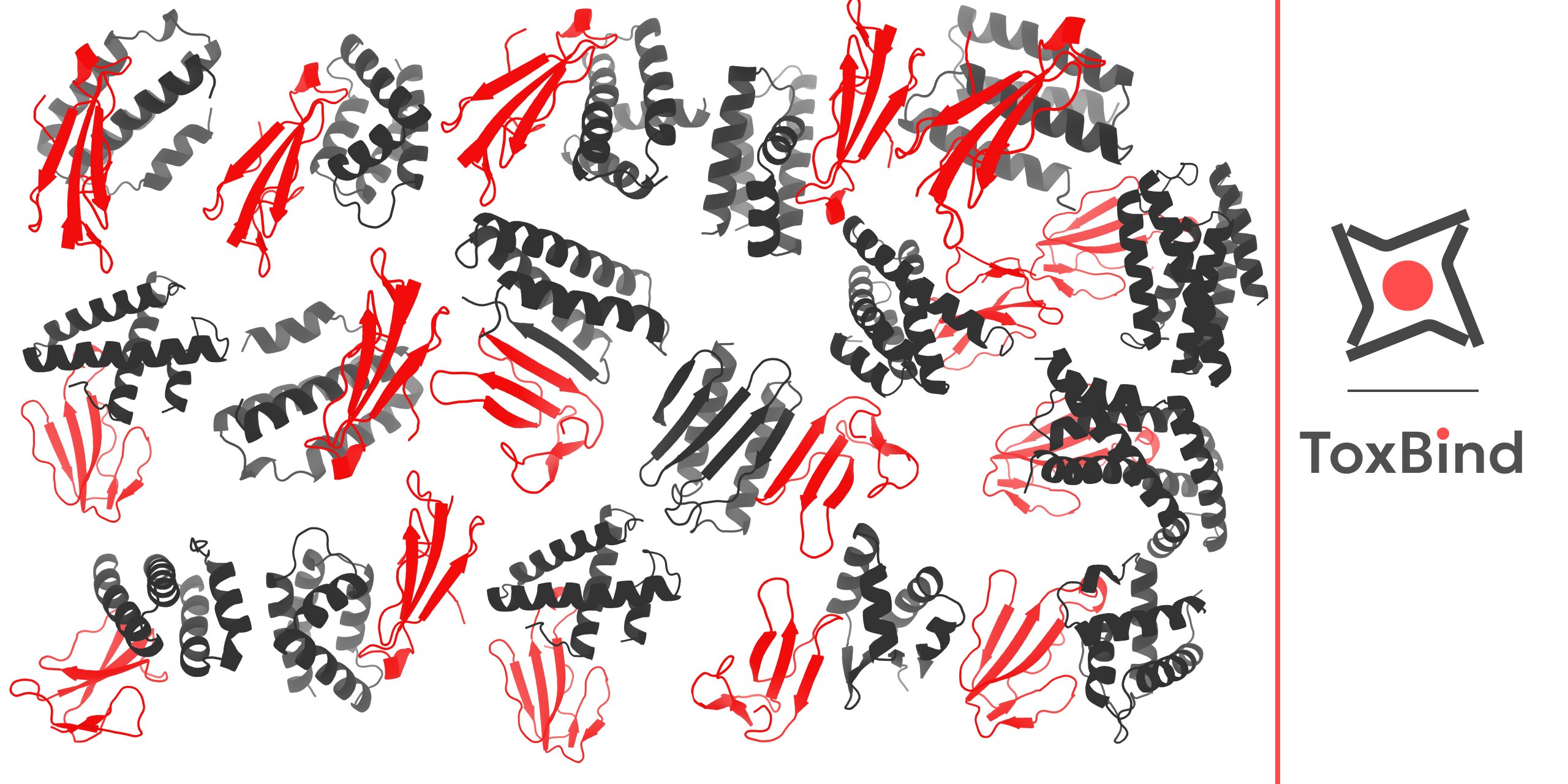 ToxBind