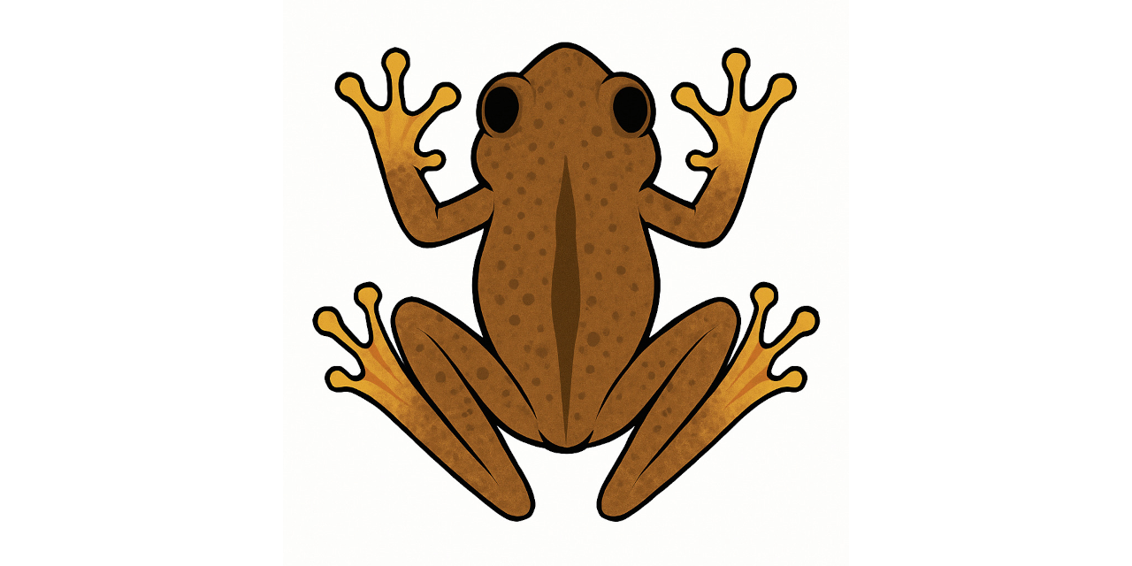 GitHub - tucanalabs/kururu: Automated frog length measurement · GitHub
