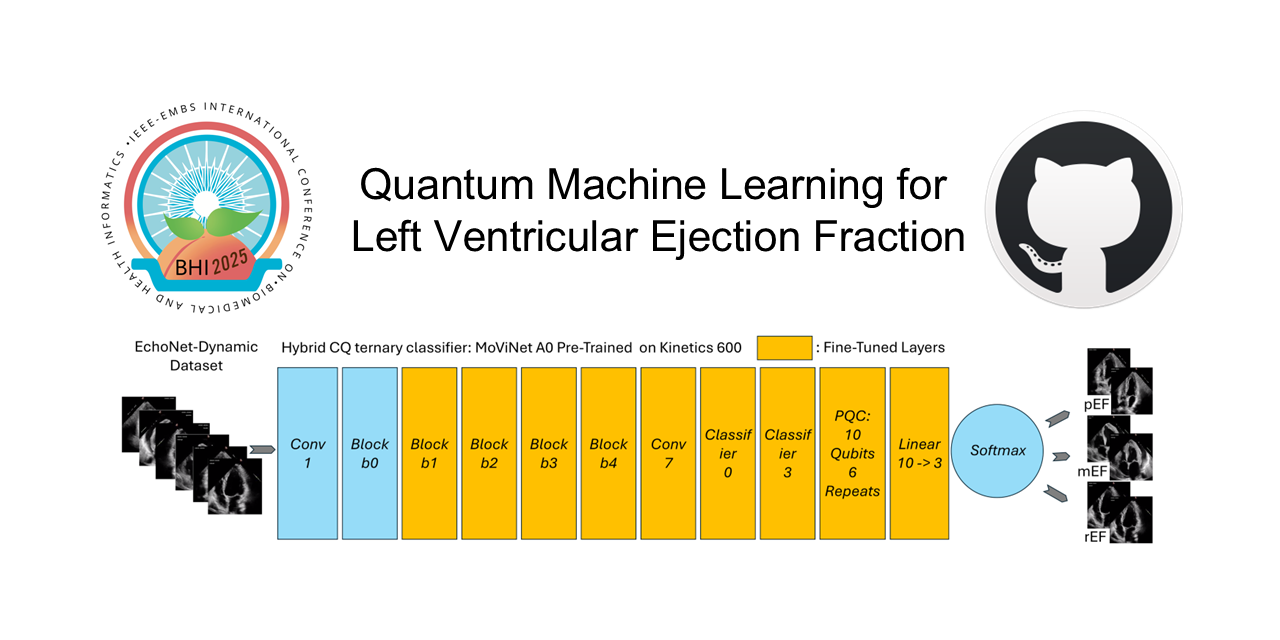 quantum-machine-learning-echocardiography