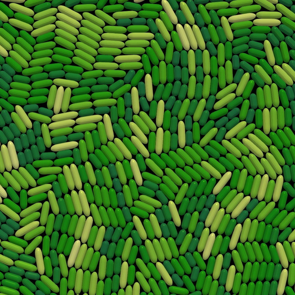 ProliferatingCellCollectives-IDP