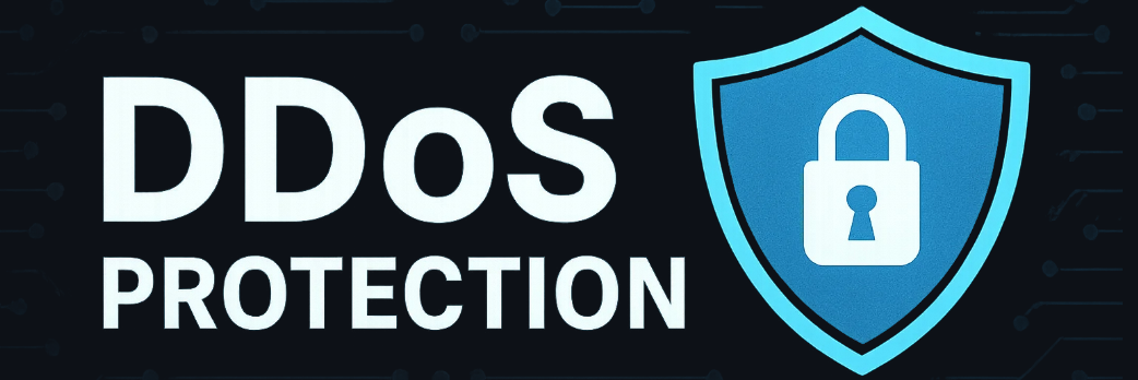 DDoS-Protection