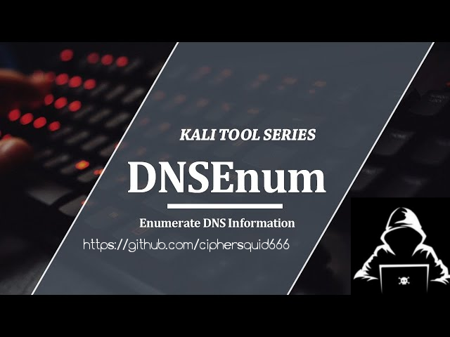 GitHub - ciphersquid666/DNS-ENUMERATOR: This tool scans a website's ...
