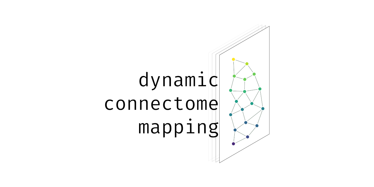 Dyconnmap