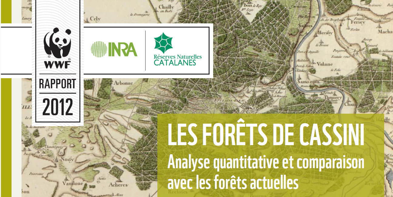 Forets-de-Cassini